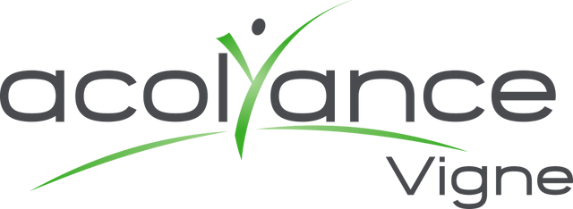 logo-dtj